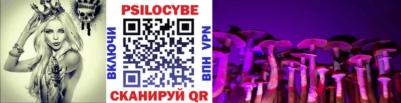 Галлюциногенные грибы MAGIC MUSHROOMS  Новомичуринск 
